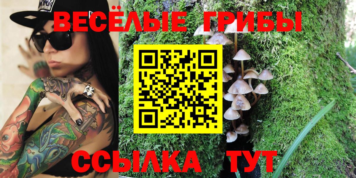 купить наркотики сайты  Вход с VPN  Псилоцибиновые грибы мицелий  Советская Гавань  Псилоцибиновые грибы Psilocybe 
